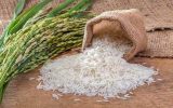 برنج ایرانی ۱۵ درصد ارزان شد