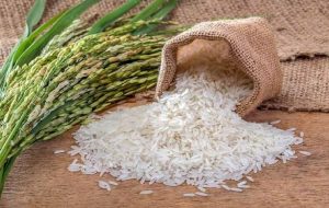 برنج ایرانی ۱۵ درصد ارزان شد